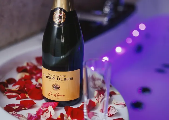 Romance Bleue -love -spa Privatif - Netflix -sejour A * Vichy